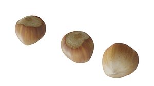 Hazelnuts