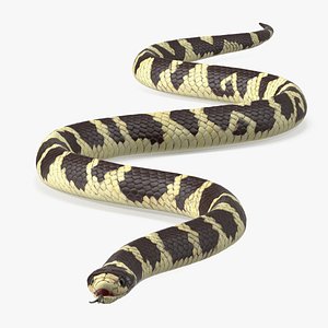 California Kingsnake Rigged for Modo