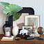 Ensemble décoratif Alocasia calidora