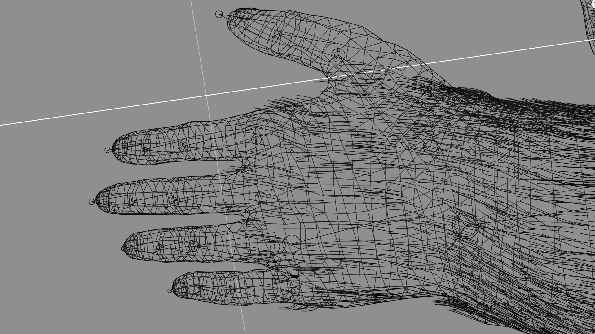 3D Australopithecus Lucy - TurboSquid 1879361