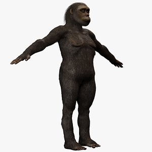 Australopithecus Lucy