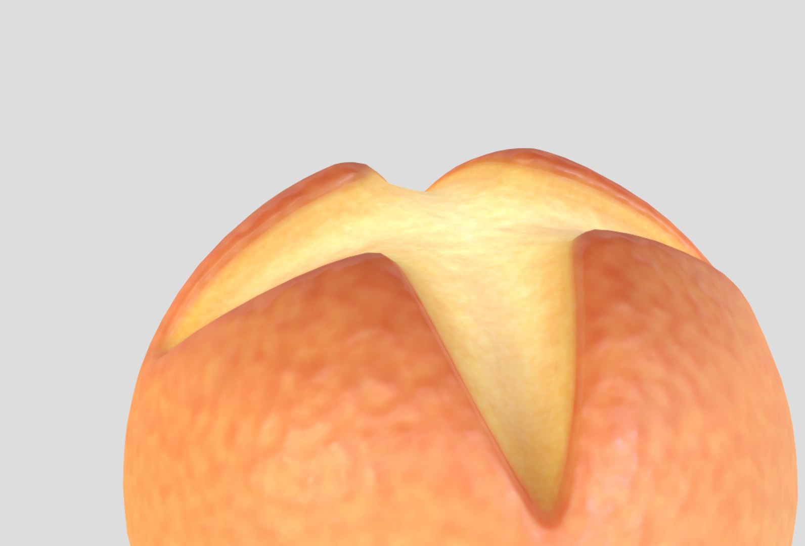 3D model Bread https://p.turbosquid.com/ts-thumb/Ri/NtpHqB/t8/xxx_161432/jpg/1703236496/1920x1080/fit_q87/6b32be3fbdbc62c250014aa75caaf00246010aee/xxx_161432.jpg