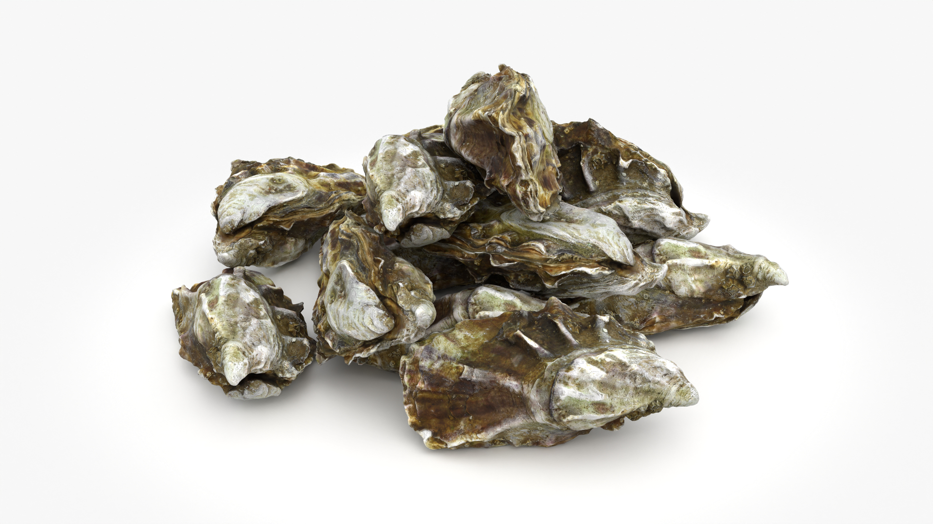 Oyster 03 Pile 3D model https://p.turbosquid.com/ts-thumb/Ri/OMJ9U4/DR/pileoyster03/png/1751023379/1920x1080/turn_fit_q99/f7a9a6c619d1622c9f3bd684db739b54e831faa7/pileoyster03-1.jpg
