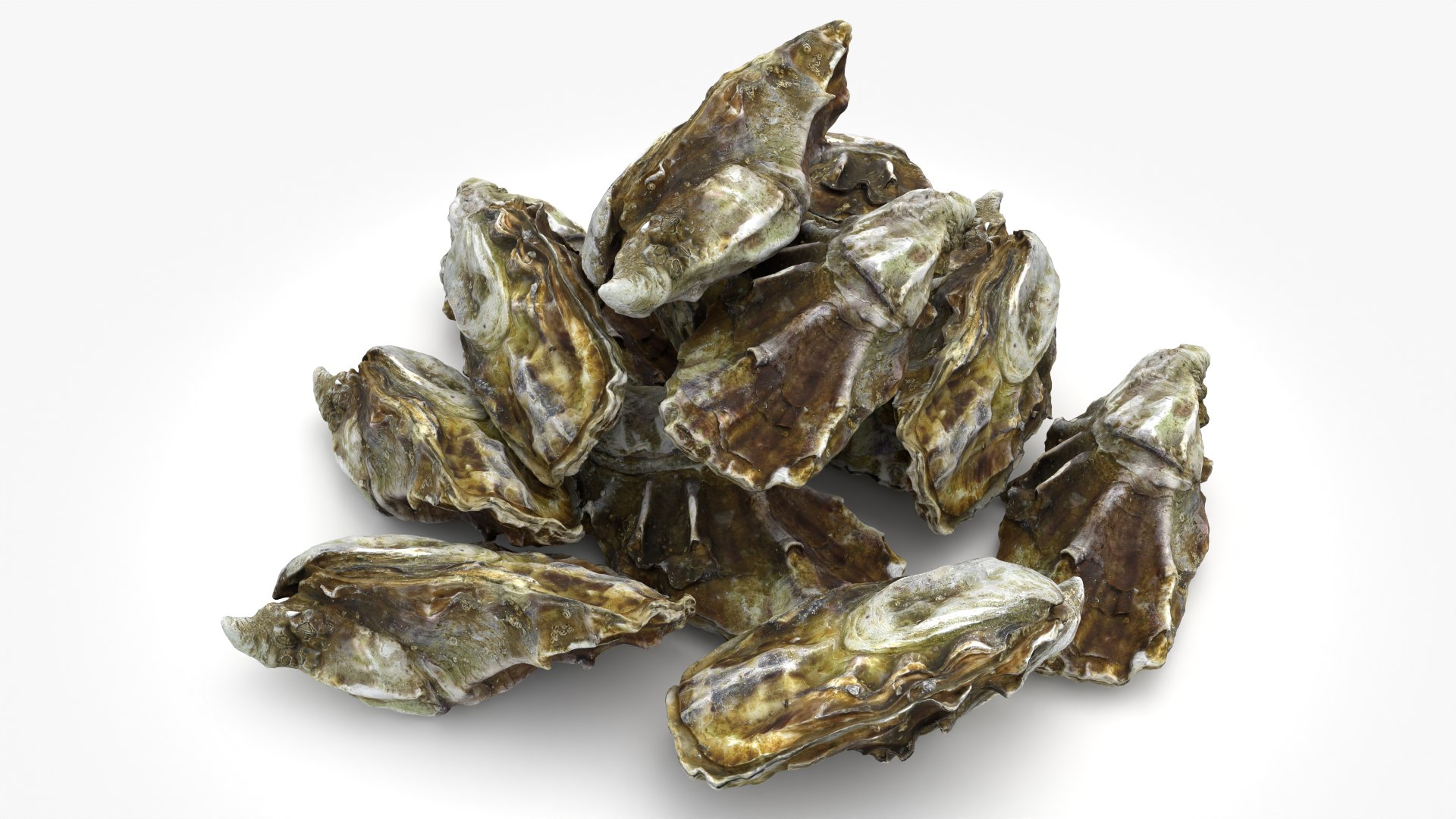 Oyster 03 Pile 3D model https://p.turbosquid.com/ts-thumb/Ri/OMJ9U4/Dm/oyster03_0008/png/1751023437/1920x1080/fit_q87/e252b4db16c8756d6bb139f799d6834099d019f2/oyster03_0008.jpg
