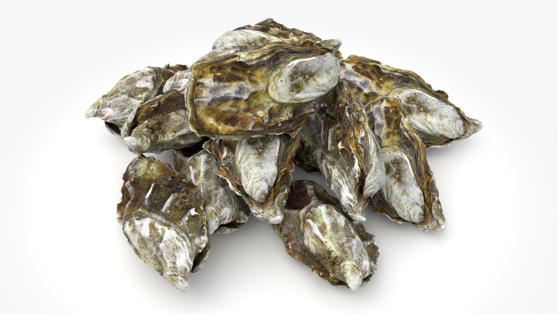 Oyster 03 Pile 3D model https://p.turbosquid.com/ts-thumb/Ri/OMJ9U4/Sw/oyster03_0010/png/1751023440/1920x1080/fit_q87/5839acee5bce953b97fc48d314777d2fe19118ac/oyster03_0010.jpg