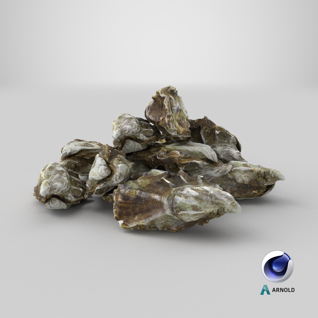 Oyster 03 Pile 3D model https://p.turbosquid.com/ts-thumb/Ri/OMJ9U4/Vo/stemcell_cinema_4d_arnold_render/png/1751368379/1920x1080/fit_q87/530d98f2bfbdef73ac0f6ba5b0bb05771d4dfccb/stemcell_cinema_4d_arnold_render.jpg
