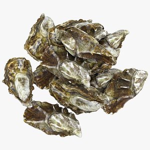 Oyster 03 Pile 3D model