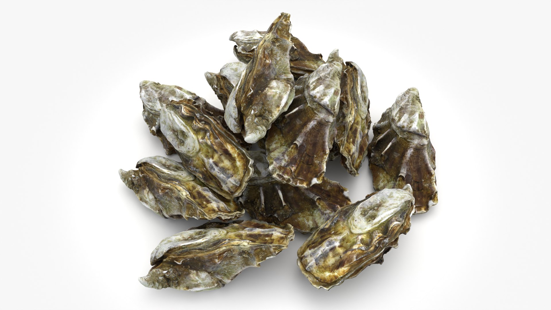 Oyster 03 Pile 3D model https://p.turbosquid.com/ts-thumb/Ri/OMJ9U4/nx/oyster03_0003/png/1751023433/1920x1080/fit_q87/c8857143f5308e16b3ccee3d93fb32eb44e52253/oyster03_0003.jpg