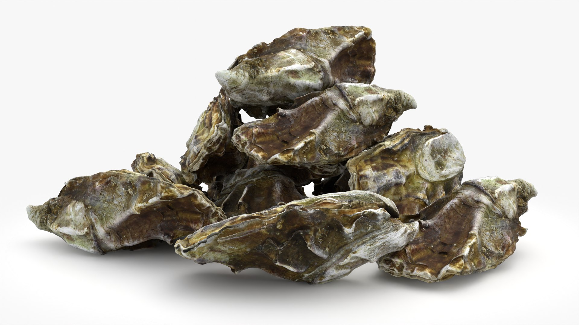 Oyster 03 Pile 3D model https://p.turbosquid.com/ts-thumb/Ri/OMJ9U4/pK/oyster03_0005/png/1751023434/1920x1080/fit_q87/b42abddc02fc79ce3d340538db92dc7982316d31/oyster03_0005.jpg