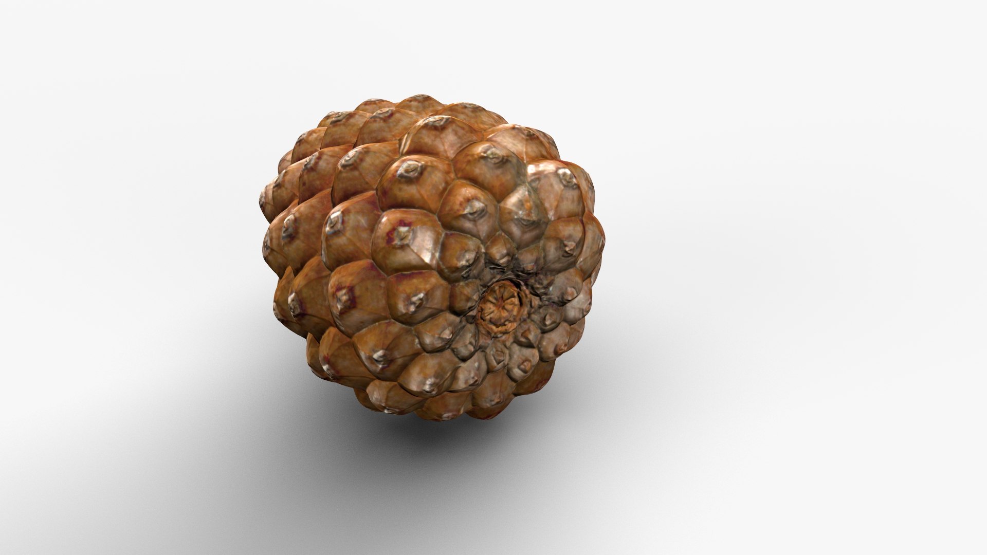 Pine Cone Closed 3D model https://p.turbosquid.com/ts-thumb/Ri/f5Il1k/1L/cone_c_003/jpg/1638553929/1920x1080/fit_q87/84b0064ae8309eb91add8f19a37011e0d1f11c39/cone_c_003.jpg