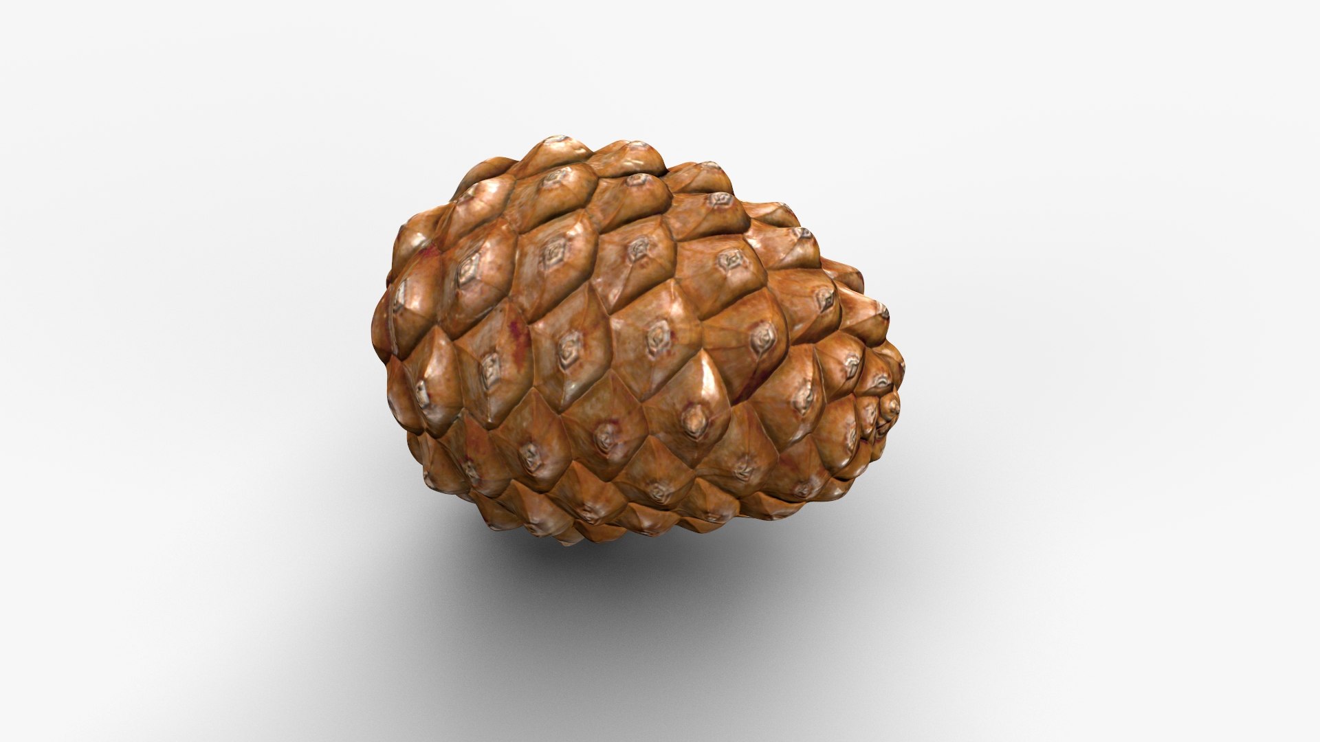 Pine Cone Closed 3D model https://p.turbosquid.com/ts-thumb/Ri/f5Il1k/4w/cone_c_005/jpg/1638553922/1920x1080/fit_q87/18a435addced2267cb6a7d6a9d4cf856cbcc13bd/cone_c_005.jpg