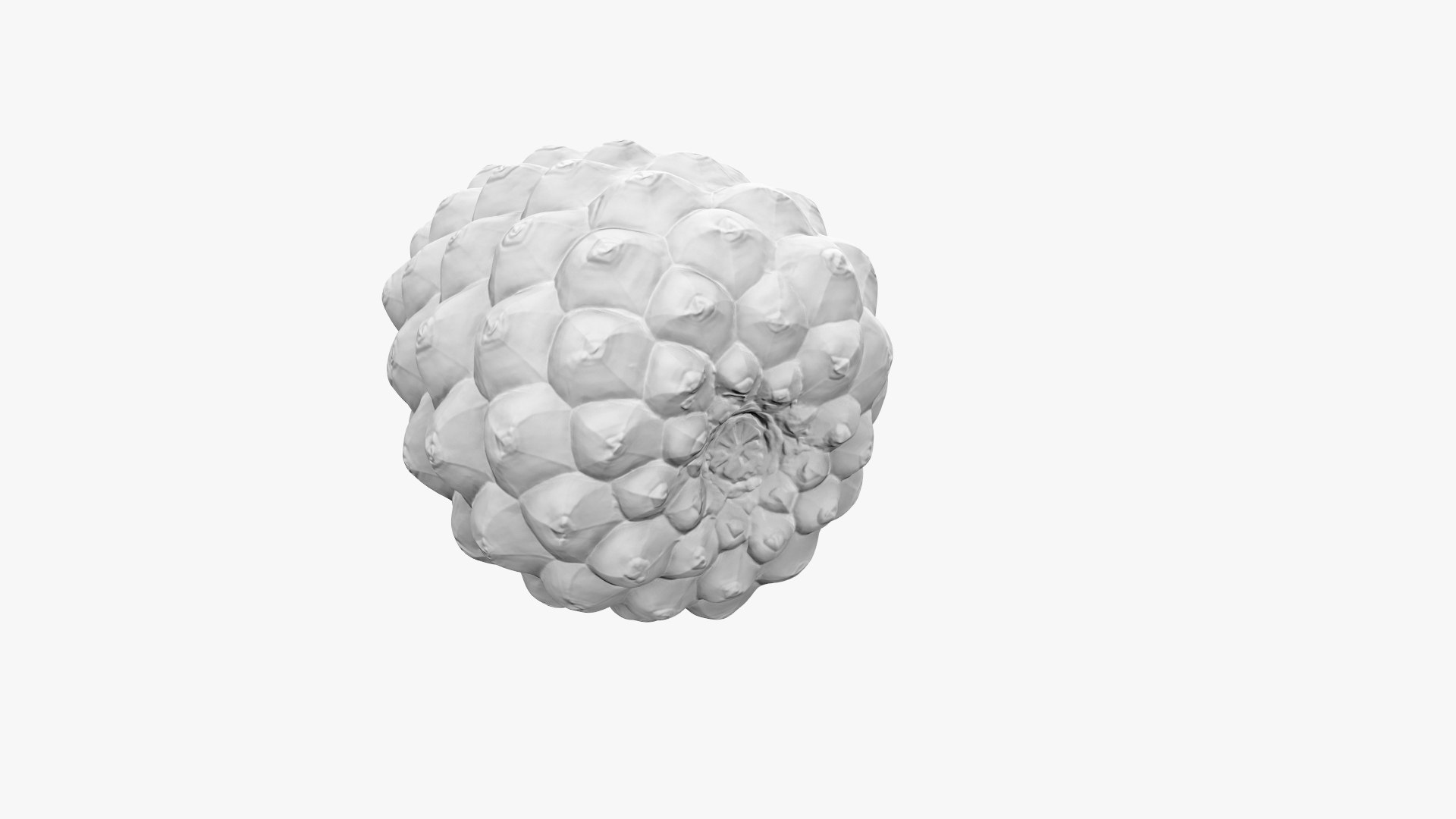 Pine Cone Closed 3D model https://p.turbosquid.com/ts-thumb/Ri/f5Il1k/6c/cone_d_003/jpg/1638553919/1920x1080/fit_q87/0397d0adde42aa408db00b92d7f200321934d689/cone_d_003.jpg