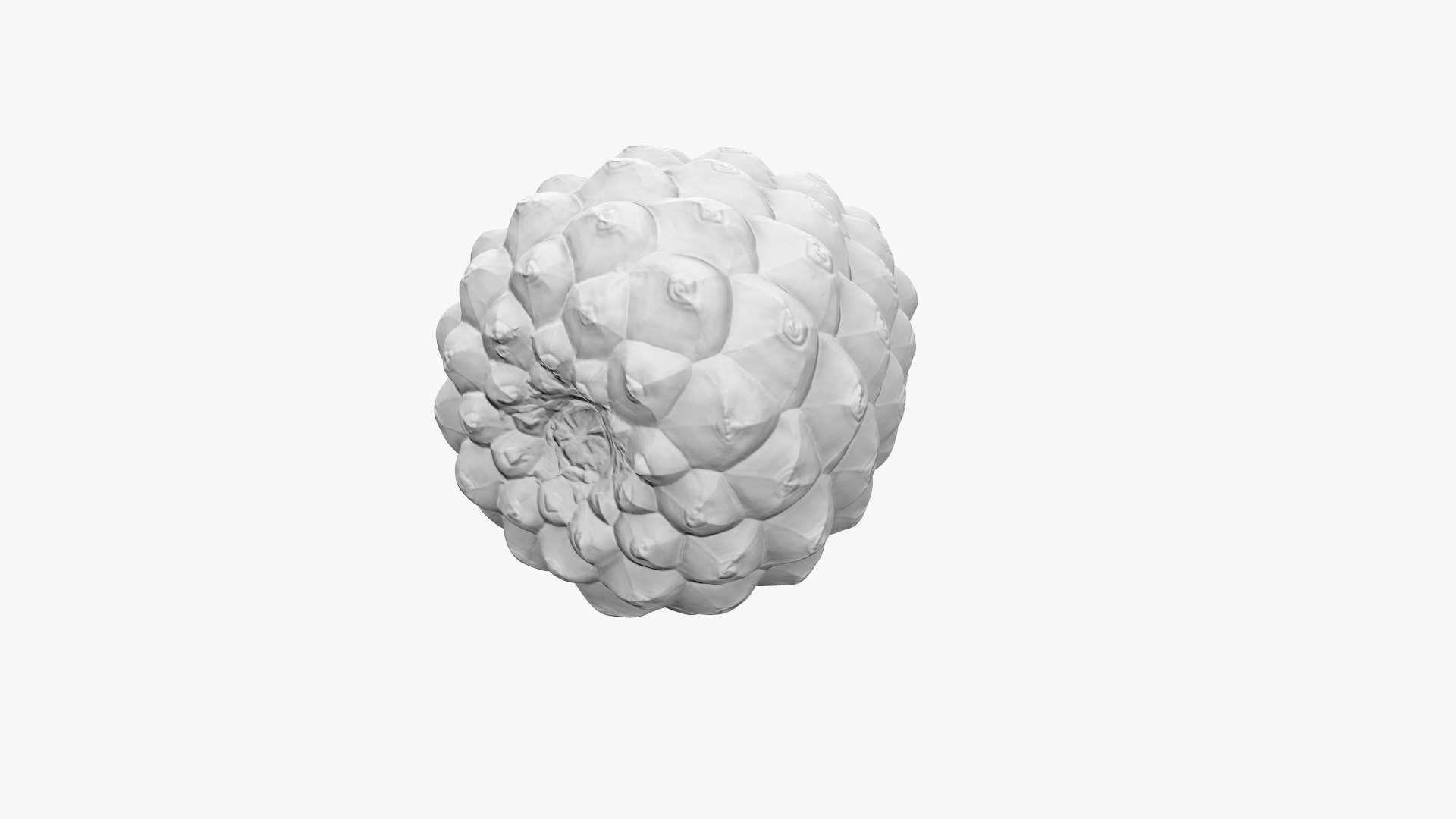 Pine Cone Closed 3D model https://p.turbosquid.com/ts-thumb/Ri/f5Il1k/9L/cone_d_004/jpg/1638553914/1920x1080/fit_q87/7a5b319e93ce8f265289a0f2004706eea059f37b/cone_d_004.jpg