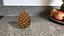 Pine Cone Closed
