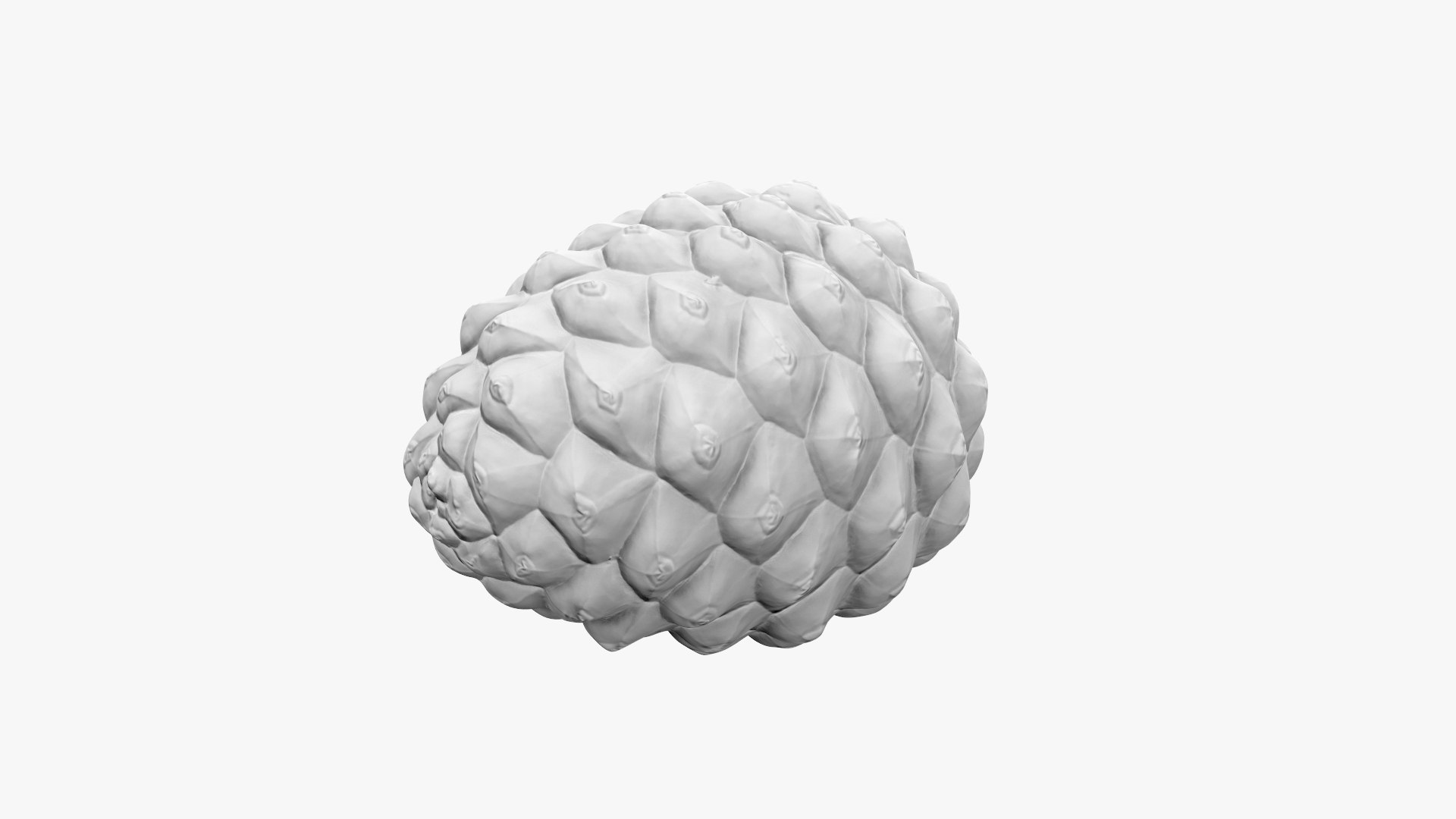 Pine Cone Closed 3D model https://p.turbosquid.com/ts-thumb/Ri/f5Il1k/PL/cone_d_007/jpg/1638553910/1920x1080/fit_q87/d5ba69f5214a207db948ef457a84a5238ff95f9e/cone_d_007.jpg