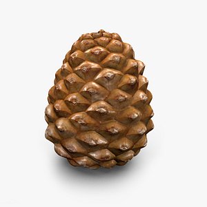 Pine Cone Closed