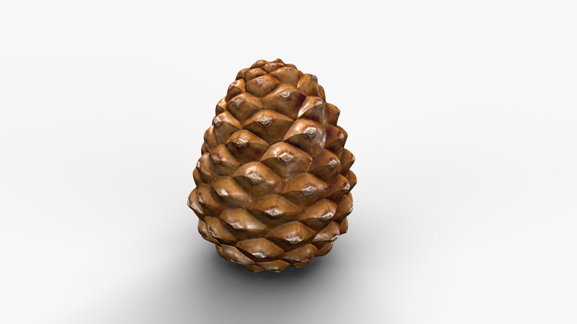 Pine Cone Closed 3D model https://p.turbosquid.com/ts-thumb/Ri/f5Il1k/qQ/cone_c_001/jpg/1638553927/1920x1080/fit_q87/798156dc1a0235b5f6ba9258473e6984d3c091fd/cone_c_001.jpg