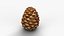 Pine Cone Closed