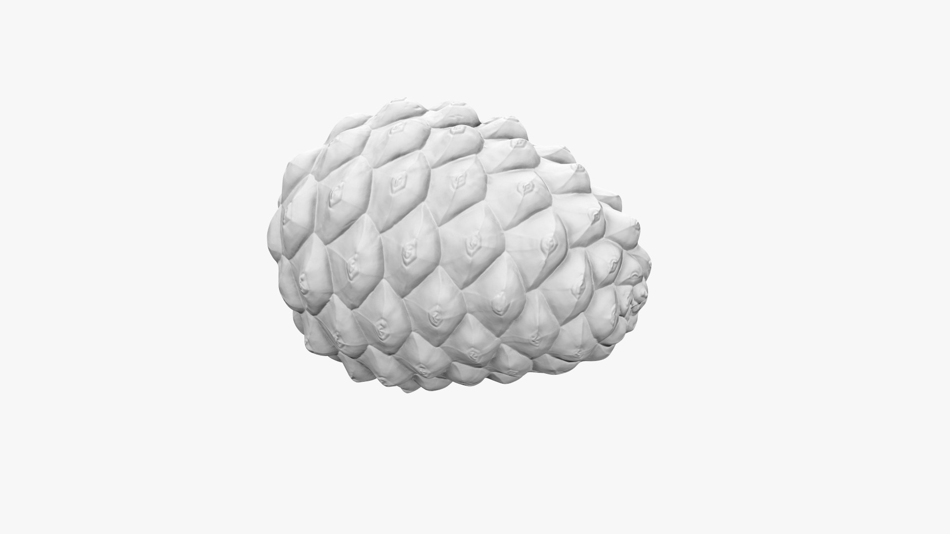 Pine Cone Closed 3D model https://p.turbosquid.com/ts-thumb/Ri/f5Il1k/wq/cone_d_005/jpg/1638553910/1920x1080/fit_q87/d5d0239a135997fa6c1eea988c41be3221354033/cone_d_005.jpg