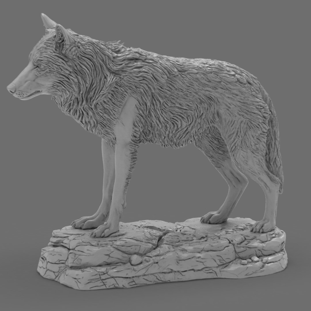 3D Realistic Wolf Sculpture 3D Printable model https://p.turbosquid.com/ts-thumb/Ri/smEDaH/6P/realisticwolfsculpture.167/jpg/1773241052/1920x1080/fit_q87/d7dd9299699d7566c875797c9c55f19cd0bcbc70/realisticwolfsculpture.167.jpg