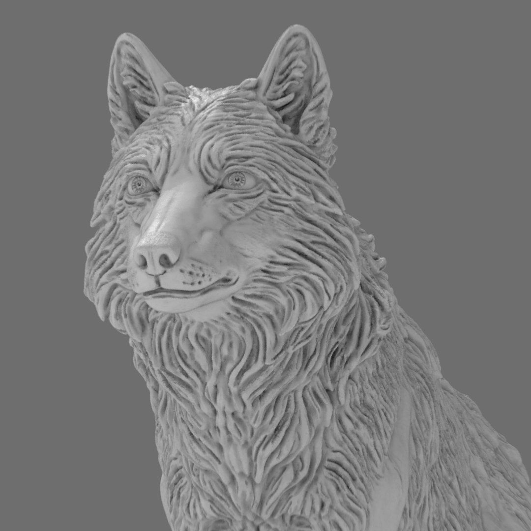 3D Realistic Wolf Sculpture 3D Printable model https://p.turbosquid.com/ts-thumb/Ri/smEDaH/7r/realisticwolfsculpture.172/jpg/1773241054/1920x1080/fit_q87/0a888d98ab894e7534cd2405808fd9efbd53a0cb/realisticwolfsculpture.172.jpg