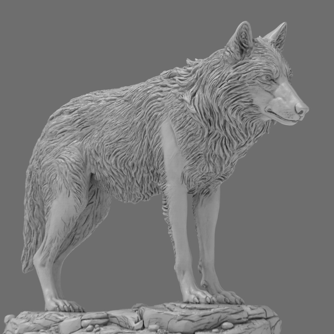 3D Realistic Wolf Sculpture 3D Printable model https://p.turbosquid.com/ts-thumb/Ri/smEDaH/Bf/realisticwolfsculpture.170/jpg/1773241053/1920x1080/fit_q87/4d3be8c33a24be8805e35b1e4698bf4b645c09d5/realisticwolfsculpture.170.jpg