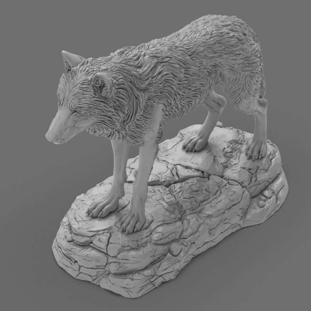 3D Realistic Wolf Sculpture 3D Printable model https://p.turbosquid.com/ts-thumb/Ri/smEDaH/Rl/realisticwolfsculpture.169/jpg/1773241052/1920x1080/fit_q87/ff926230ad8907dd3e4d38c9b561de77a86bdedc/realisticwolfsculpture.169.jpg