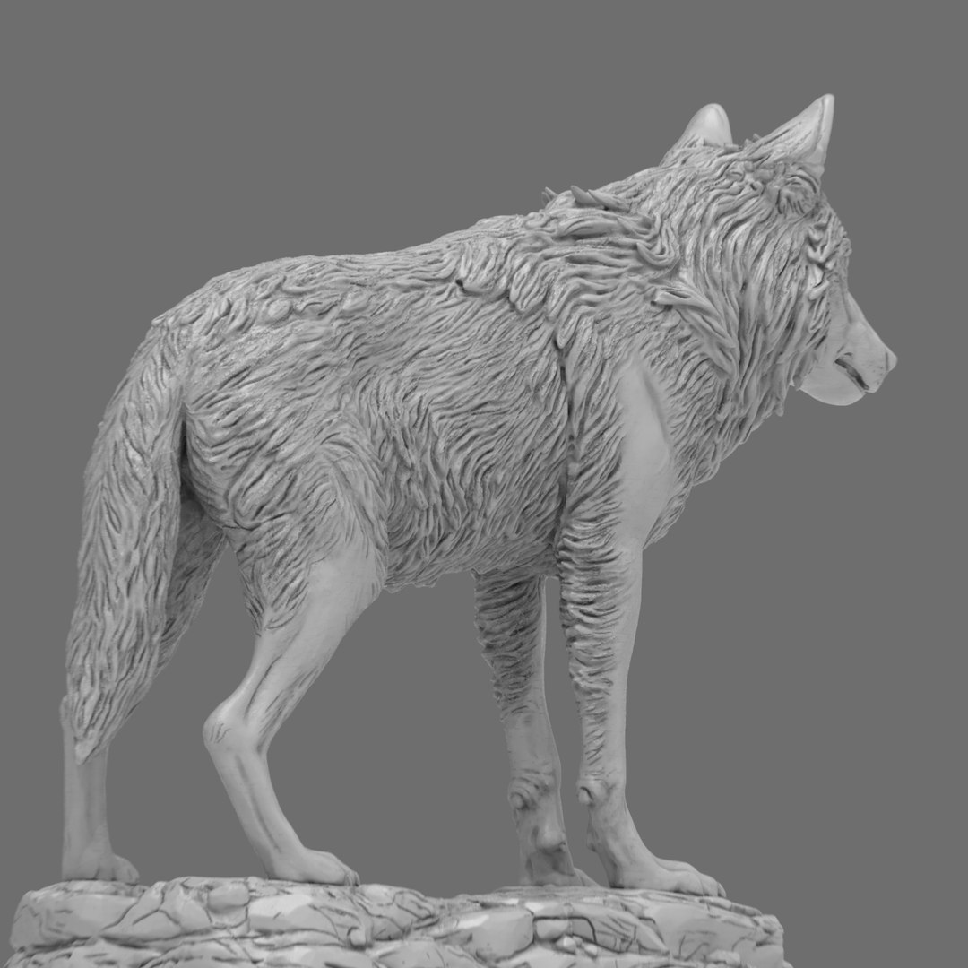 3D Realistic Wolf Sculpture 3D Printable model https://p.turbosquid.com/ts-thumb/Ri/smEDaH/y7/realisticwolfsculpture.171/jpg/1773241053/1920x1080/fit_q87/8c846f6d9f9309d4a3874038cb3f34d16f67f451/realisticwolfsculpture.171.jpg