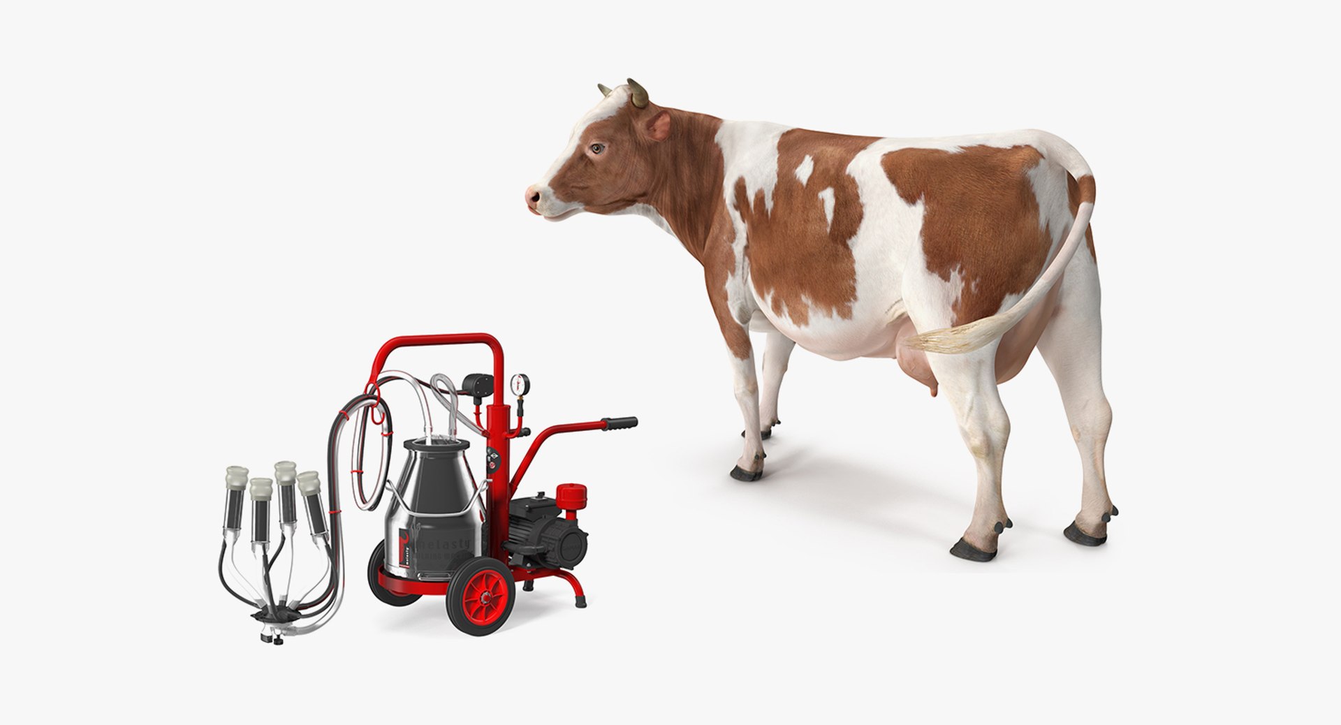 3D Milking Machine Work with Cow Collection https://p.turbosquid.com/ts-thumb/Rj/6eDhAo/5b/milkingmachineworkwithcowcollection3dsmodel001/jpg/1656548173/1920x1080/fit_q87/6fbaec7e8f934f677ba7d5c0933f822a02989768/milkingmachineworkwithcowcollection3dsmodel001.jpg
