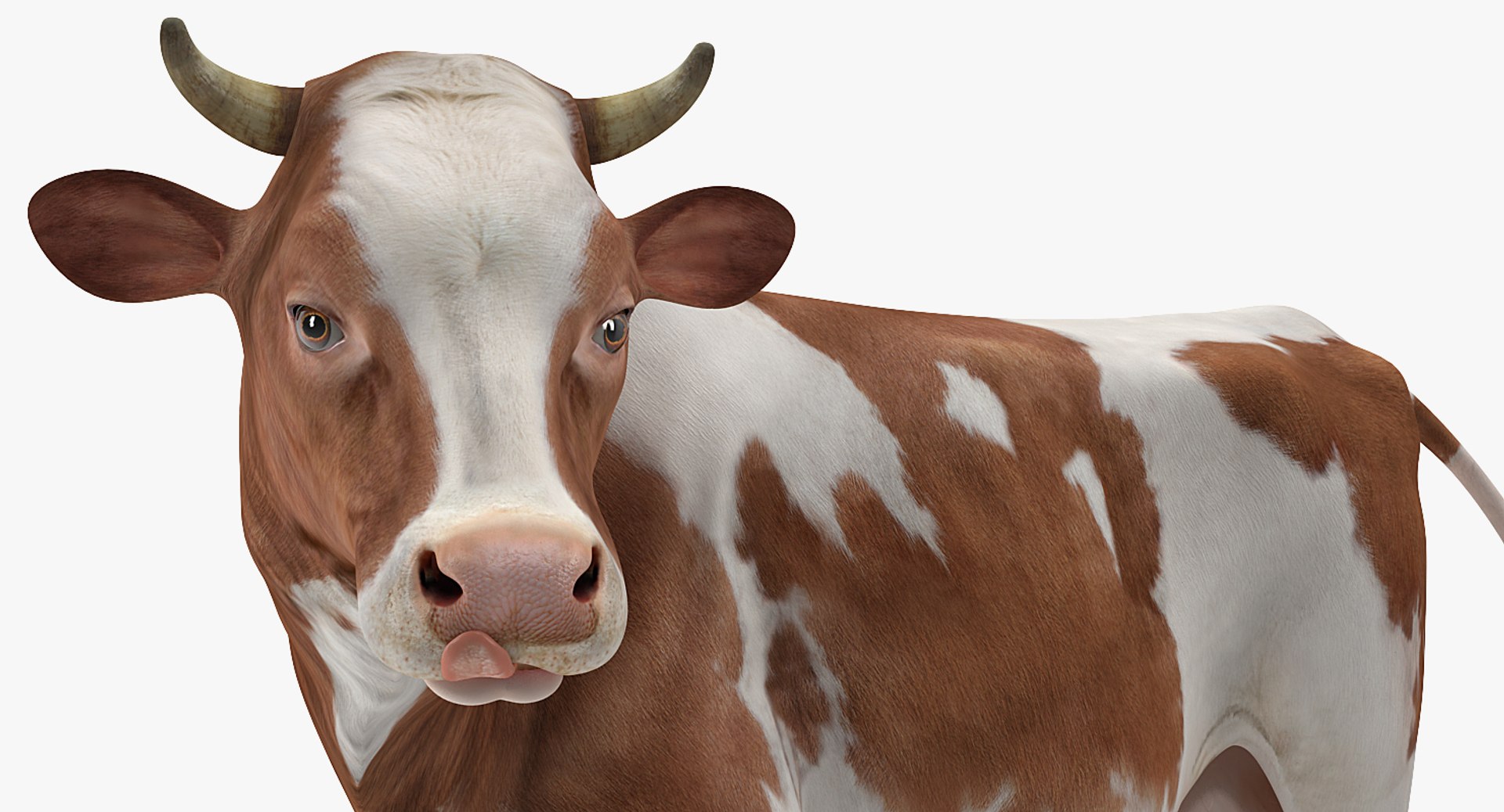 3D Milking Machine Work with Cow Collection https://p.turbosquid.com/ts-thumb/Rj/6eDhAo/Cv/milkingmachineworkwithcowcollection3dsmodel026/jpg/1656548249/1920x1080/fit_q87/14cedefa436b79fadab9f41a28fca815ef194fd3/milkingmachineworkwithcowcollection3dsmodel026.jpg