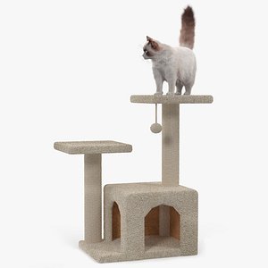 Fluffy Cat Standing on Cat Tree Tower Fur for Maya