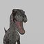 3D Colossal Dinosaur Pack 8K - fully animated model