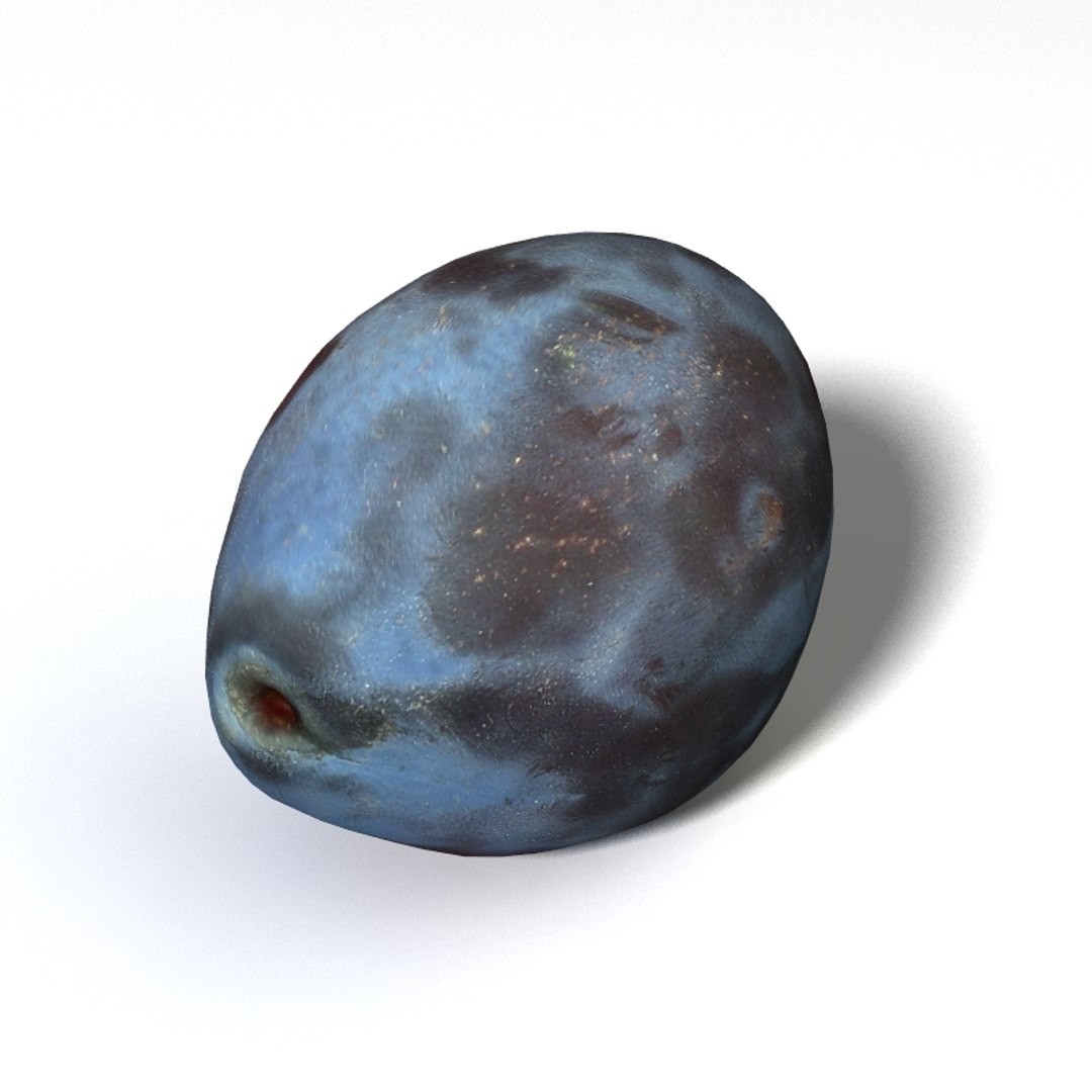 3D Plum - TurboSquid 1201068