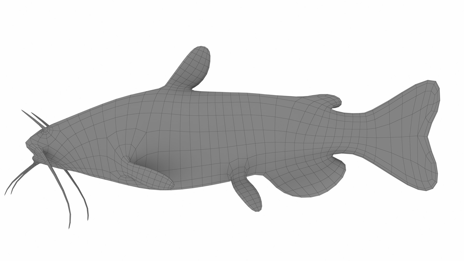 Catfish Model - TurboSquid 2386404