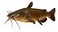 Underwater Animals Big Collection 34 in 1