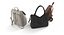 women bags 3d max