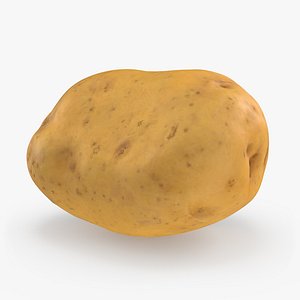 potato realistic 3D model