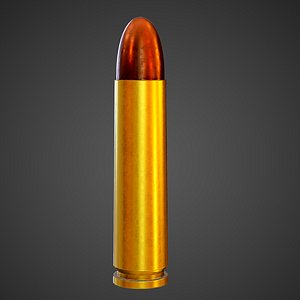 Bullet
