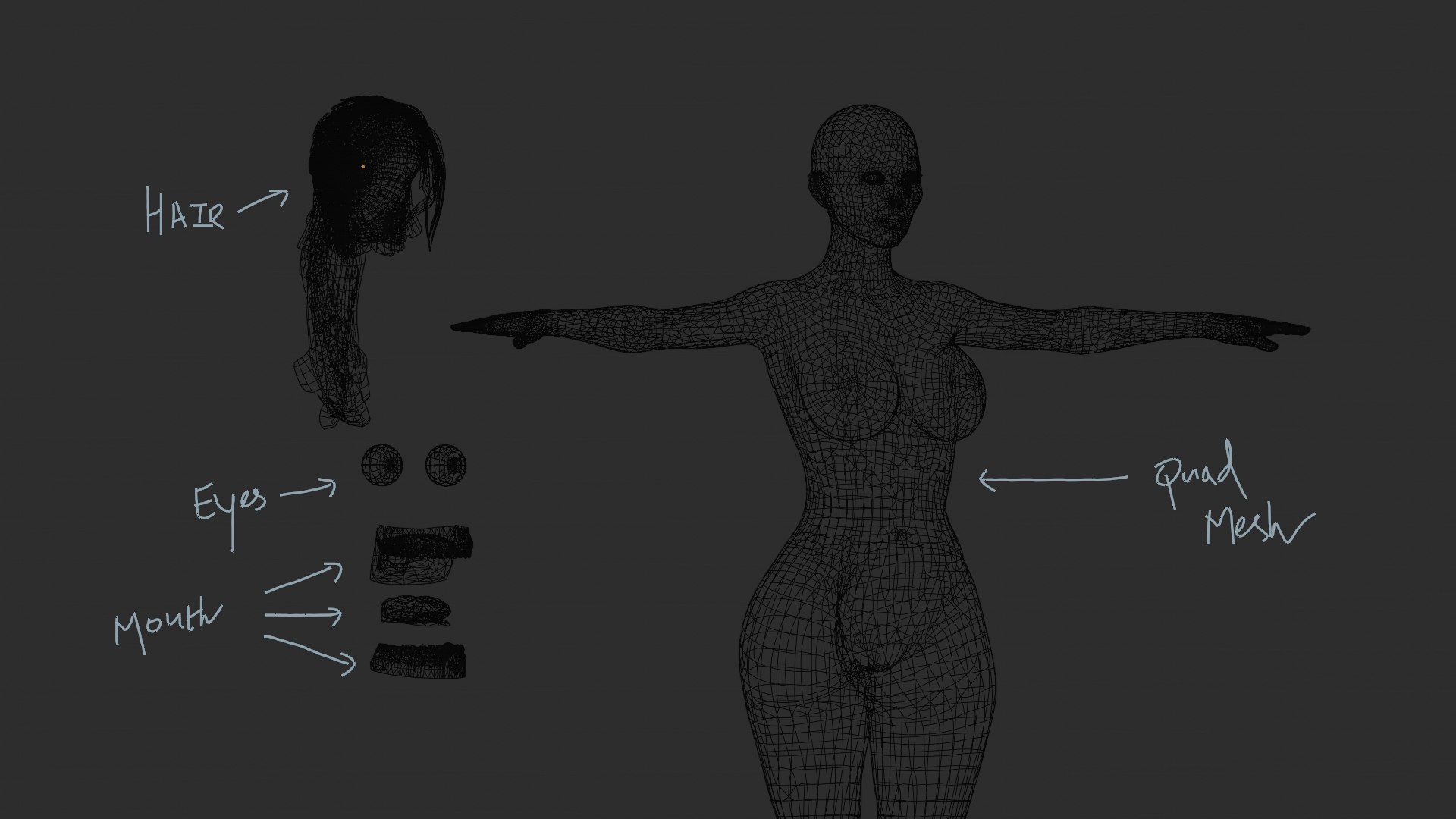 Realistic Beautiful Woman Rigged - Calista 3D model https://p.turbosquid.com/ts-thumb/Rk/8XUaot/VD/wireframe2/jpg/1706041829/1920x1080/fit_q87/bf2128c3f34addc41bbed03a7f2b44f6df98919e/wireframe2.jpg