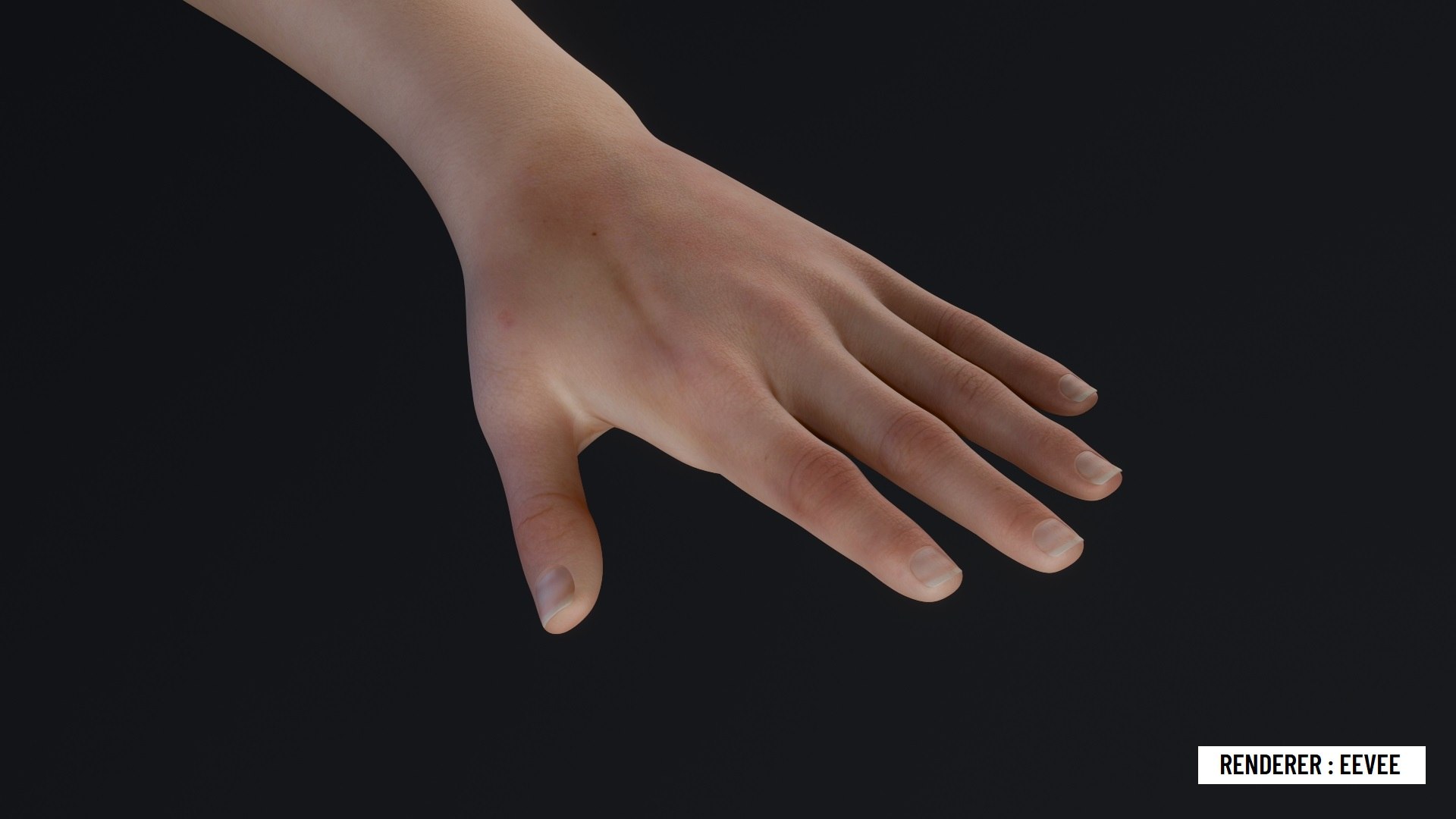 Realistic Beautiful Woman Rigged - Calista 3D model https://p.turbosquid.com/ts-thumb/Rk/8XUaot/ix/z05/jpg/1706041822/1920x1080/fit_q87/1271b0b182e81c480f251352700f53babe2d1a8d/z05.jpg