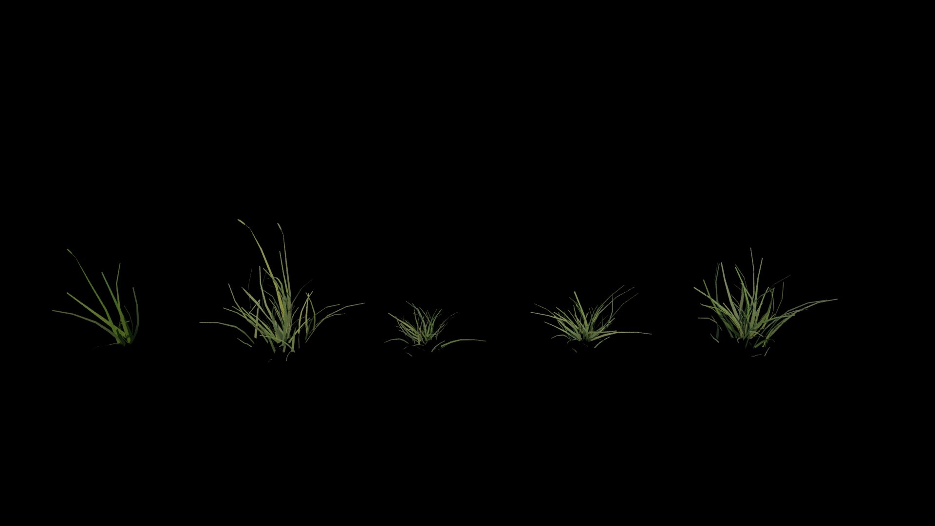 3D model 5 grass clumps https://p.turbosquid.com/ts-thumb/Rk/KkdJUF/MRzUTj7U/grass6/jpg/1535992130/1920x1080/fit_q87/cd2587e6b636b2e8f4fd849791a64e4b1fc0b92a/grass6.jpg