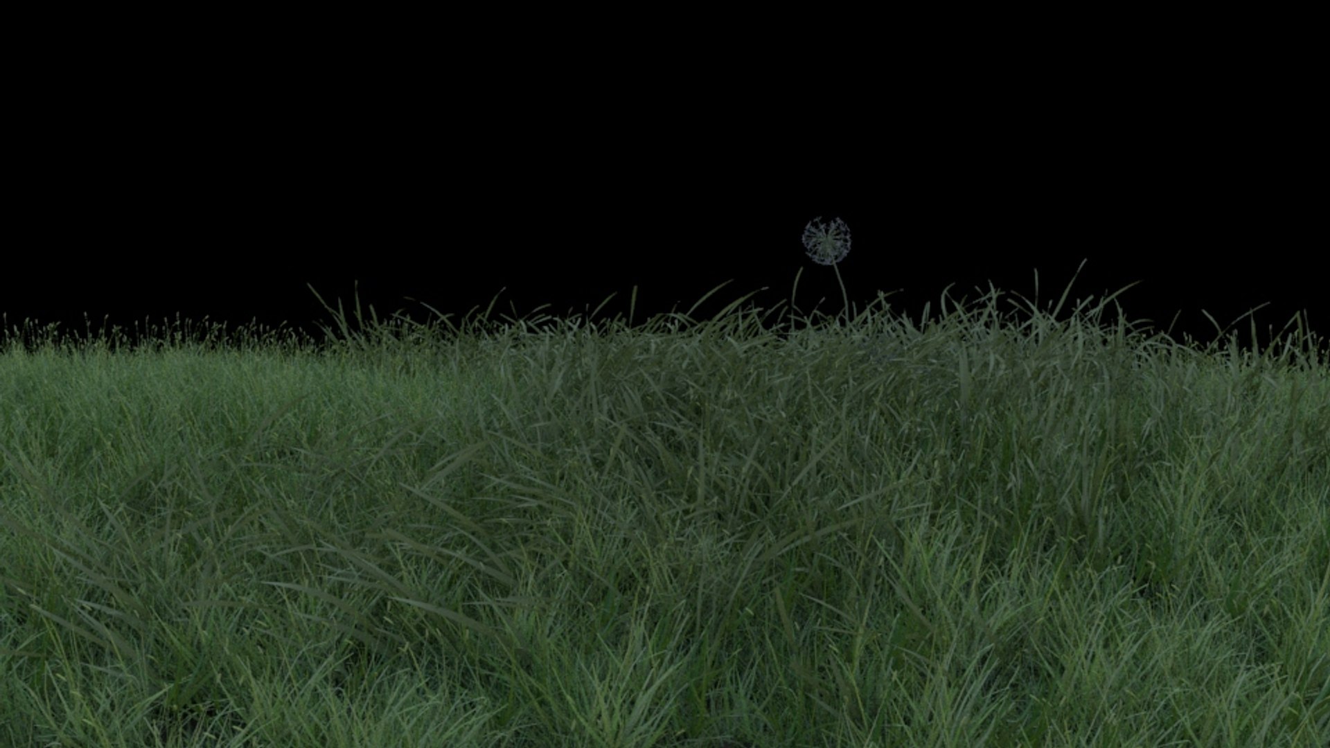 3D model 5 grass clumps https://p.turbosquid.com/ts-thumb/Rk/KkdJUF/f8zOumFz/grass5/jpg/1535992206/1920x1080/fit_q87/817a83dc291b63c96a2f6808a9dd8bc8f5c77322/grass5.jpg