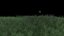 Grass clumps