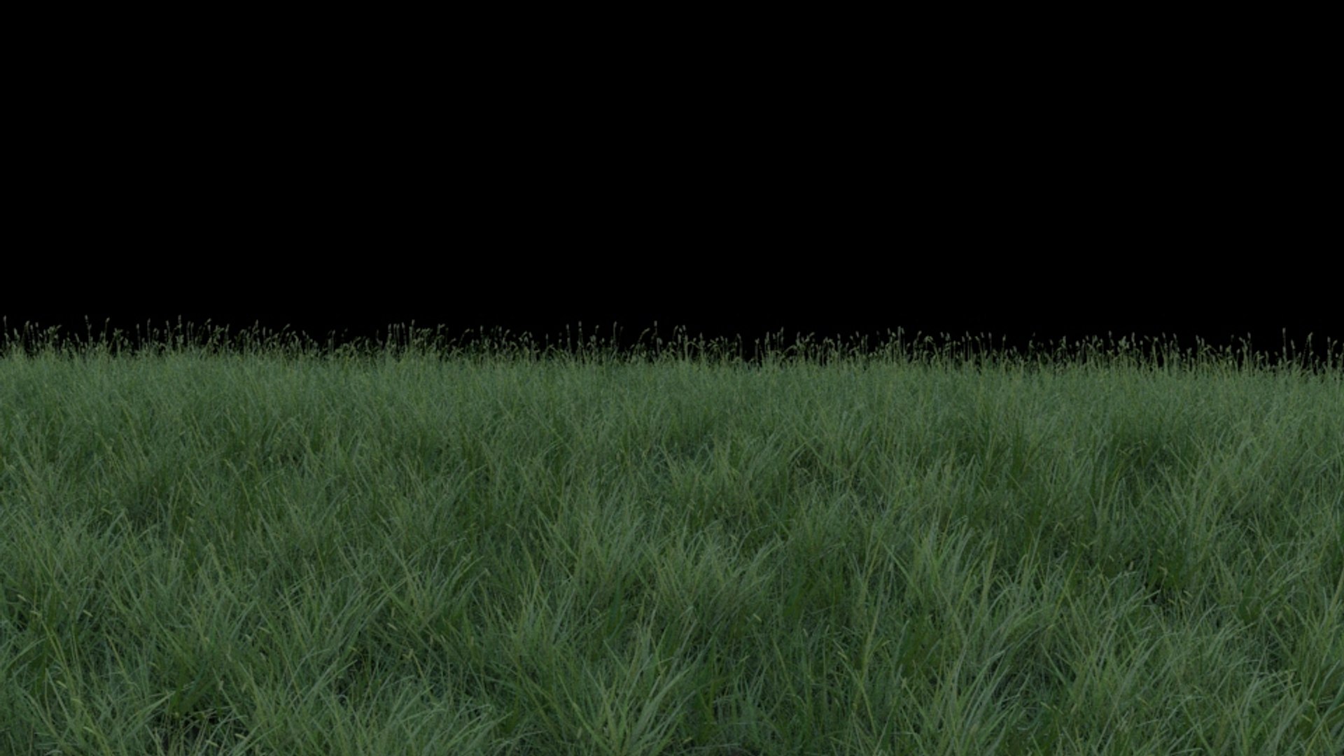 3D model 5 grass clumps https://p.turbosquid.com/ts-thumb/Rk/KkdJUF/umfQh8wd/grass7/jpg/1535992130/1920x1080/fit_q87/b061e6ce438b9275a7952d50ae2d103dc3a6878a/grass7.jpg