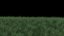 Grass clumps
