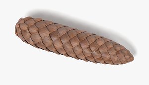 Spruce Cone Detailed