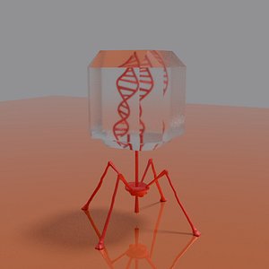 A virus or bacterium with a transparent container and a DNA 3D model