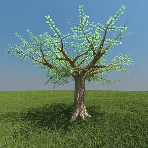 free african tree 3d model