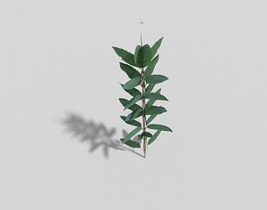 plant games 3d 3ds