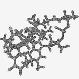 Vitamin B12 Molecule